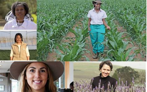 5 Women In Farming You Need To Know About Sme South Africa