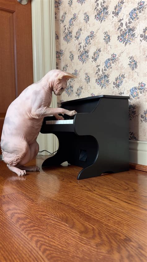 FarrahPawcett&ChristieWrinkley (@theskinupgirls) • Instagram photos and