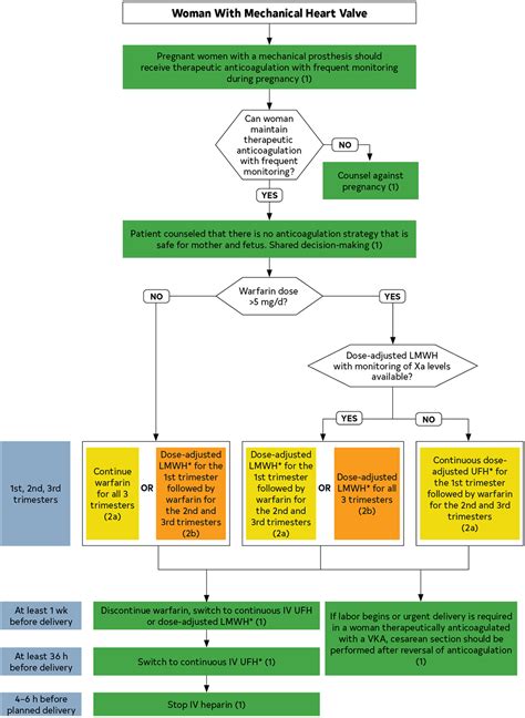 Acc Aha Guidelines For The Management Of Patients With Valvular Heart Hot Sex Picture