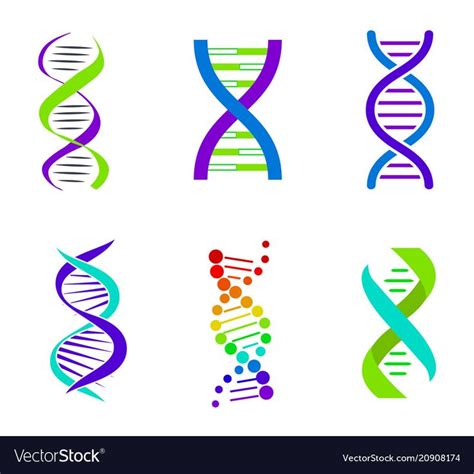 Colorful Dna Spirals Bright Vector Image On Vectorstock Vector