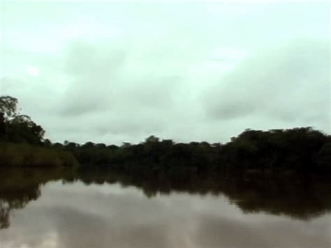 CVC Bicentenarios de América Latina Siglos de convivencia Atrapados