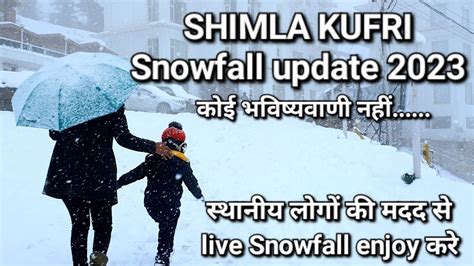 Shimla Kufri Snowfall Update Shimla Snowfall Update Youtube