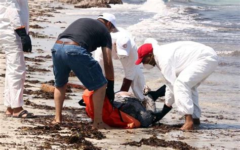 Naufrage De Migrants Près De La Libye 111 Cadavres Récupérés La