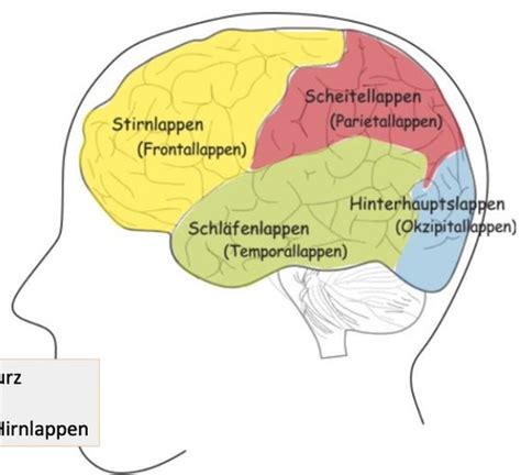 Neuropsychologische Behandlungsverfahren Allgemein Karteikarten Quizlet