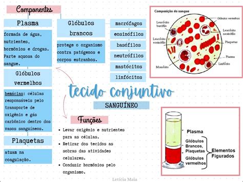 Mapas Mentais Sobre Sistema Sanguineo Study Maps Porn Sex Picture