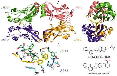 Molecules Free Full Text Development Of The Inhibitors That Target