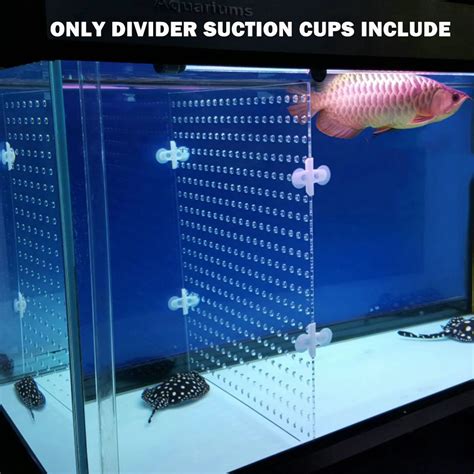 Aquarium Acrylic Divider Full Holes With 4pcs Suction Cup Free For