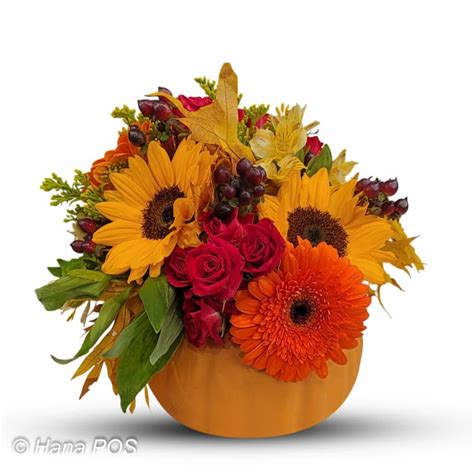 Bloomin Pumpkin Flower Delivery Bellingham MA Brian S Country