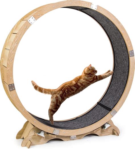 Locdion Cat Wheel Exerciser For Indoor Catscat Exercise