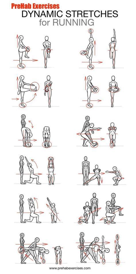 10 Dynamic Stretching ideas | dynamic stretching, workout warm up, exercise