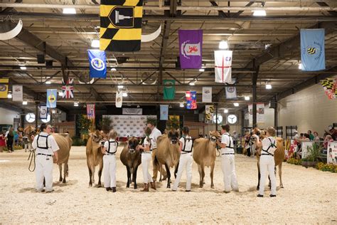 Maryland State Fair American Dairy Association North East