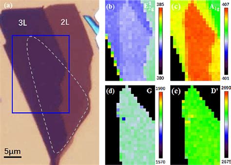 A Optical Microscopic Image Of The Graphene MoS 2 Heterostructure On