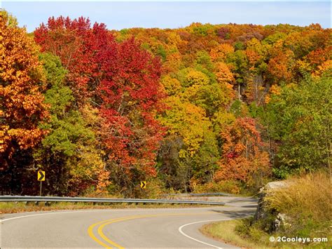 48 Ozarks Fall Foliage Photos 2cooleys Roadside Foliage Pics