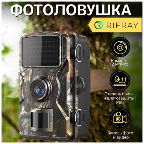 Фотоловушка/фотоловушка для охоты/фотоловушка для охраны/фотоловушка ...