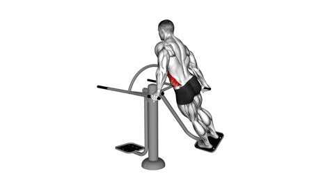 Lever Outdoor Seated Leg Press Video Guide And Tips