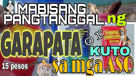 Mabisang Pang Tanggal Ng Garapata Or Kuto Sa Mga Aso Youtube