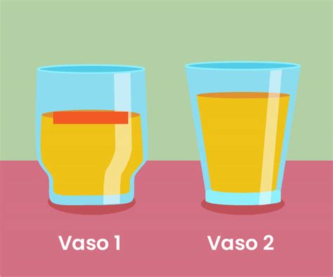 Partes De Un Vaso