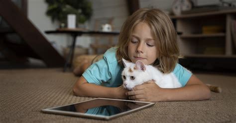 Best New Tech Pet Products For