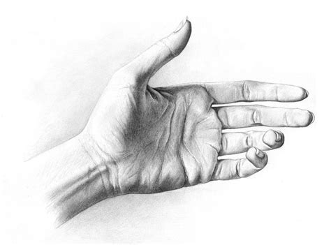 Drawing Of My Hand By Rowen Silver On Deviantart How To Draw Hands