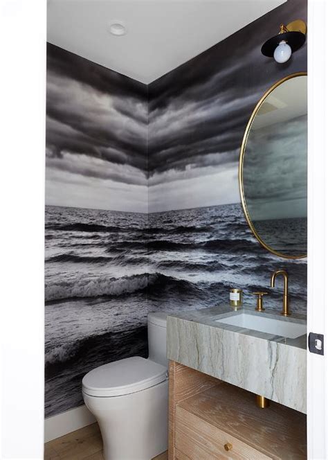 Powder Room Wall Mural Transitional Bathroom Graciela Rutkowski