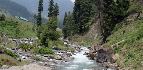 Pahalgam, Kashmir in Kashmir | ID: 6378735733