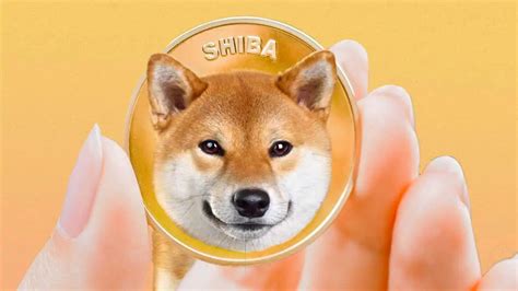 Shiba Inu Diventa Adulto Arriva Shibarium La Blockchain L2 Dellambiente Shiba