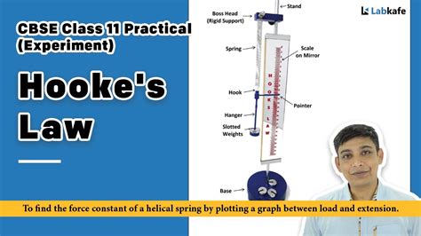 Hookes Law Experiment For Class 11 Practical Youtube