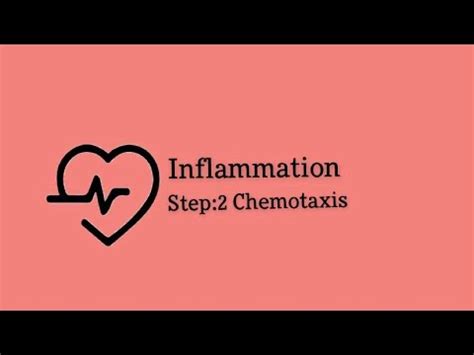 Inflammation Chemotaxis White Blood Cells Physiology Youtube