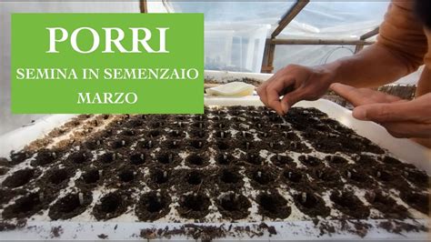 Semina Porri In Semenzaio Met Marzo Youtube