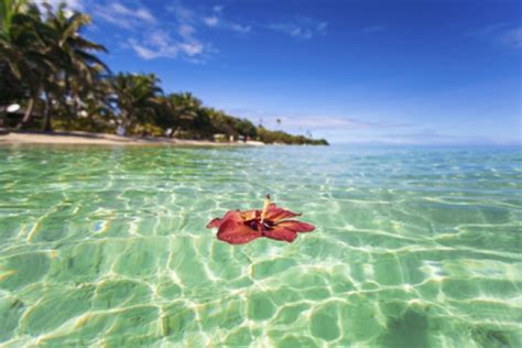 Breathtaking Fiji - Where Your Nature Fantasy Comes To Life | Being Expat