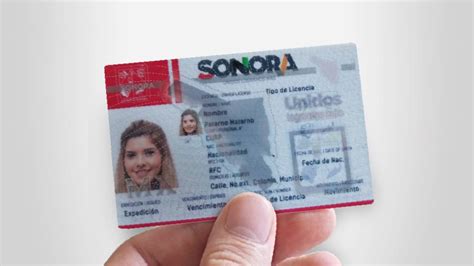 Licencia De Conducir En Sonora La Terraza