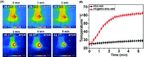 A Infrared Thermographic Images Of Mda Mb Tumor Bearing Nude Mice