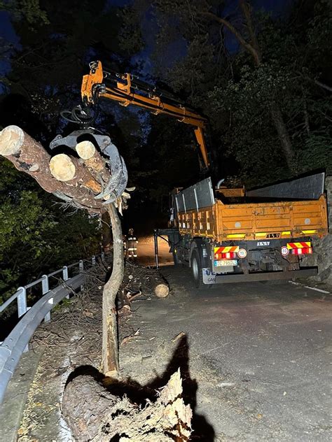 Ober Gratsch Baum verlegt Straße Südtirol News