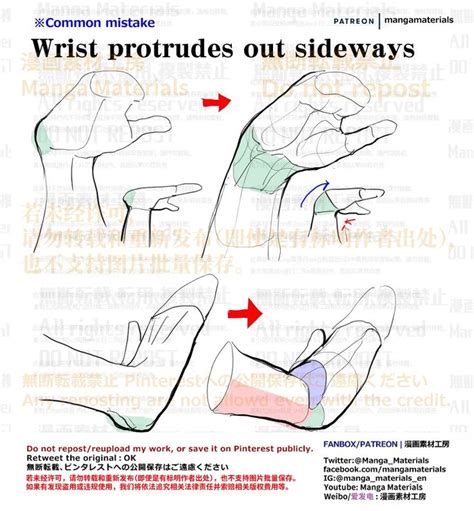 Pin By Nancy Cicatiello On Drawings In Anatomy Reference Sketch