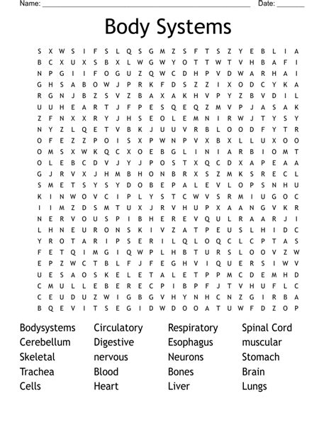 Body System Word Search