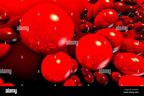 Body Health Science Bacteria Virus And Red Infecting Blood Cells In