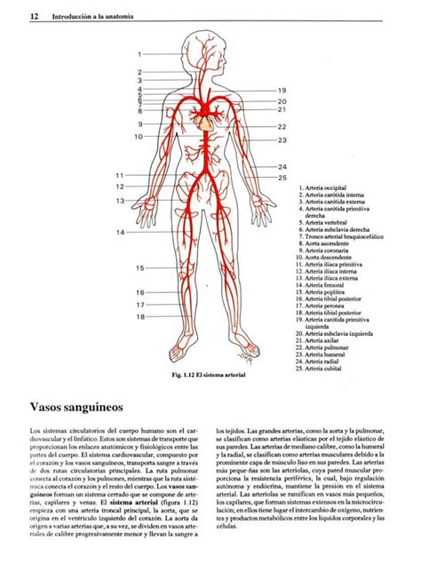 Pdf Atlas Fotogr Fico De Anatom A Del Cuerpo Humano Dokumen Tips