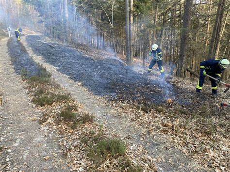 Feuerwehr VG Lambrecht Flächenbrand klein B1 02