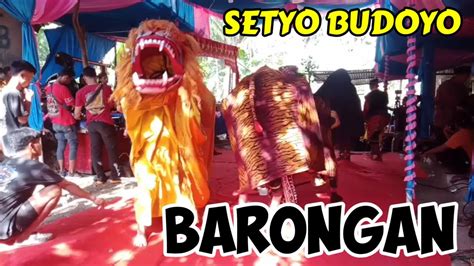 Barongan Setyo Budoyo Live Dusun Karang Pucung Donorojo Youtube