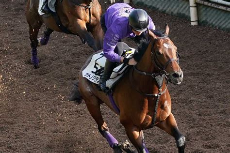 【目黒記念】サトノグランツ、迫力あふれる3馬身先着 友道師「体もシャープ」｜競馬ニュース｜競馬予想のウマニティ