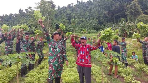 Satgas Yonif Rk Ts Gelar Bakti Sosial Dan Karya Bakti Di Teluk Wondama