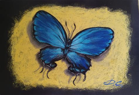 Soft Pastel Butterfly Soft Pastels Drawing Oil Pastels Butterfly Project Oil Pastel