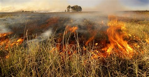 Watch: Hero Farmer Sees Massive Crop Fire - Gets in His Tractor and ...