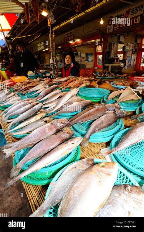 Mercado De Pescado Jagalchi Busan Pusan Fotograf As E Im Genes De Alta