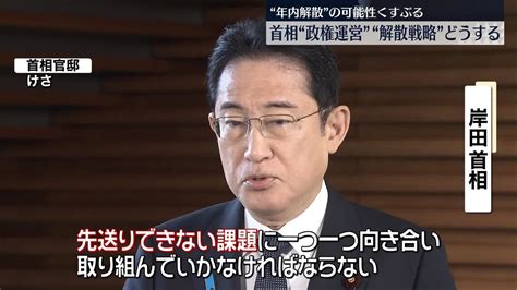 衆参補選で与野党1勝1敗岸田首相の解散戦略は？（2023年10月23日掲載）｜日テレnews Nnn