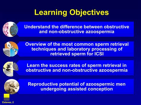 Sperm Retrieval Techniques Ppt