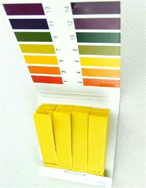 80 Ph Litmus Paper Test Strips Full Range 1 14 Test For Acid And Alkaline