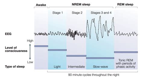 Introduction To Sleep Medicine PsychDB