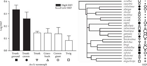 Figure 4 1 From The Evolution Of Sexual Size Dimorphism In Reptiles Semantic Scholar