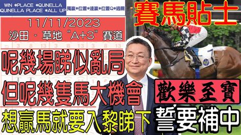 【賽馬貼士提供】2023年11月11日 沙田 呢幾場睇似亂局 但呢幾隻馬大機會 歡樂至寶 誓要補中 賽馬貼士 賽馬 賽馬投注